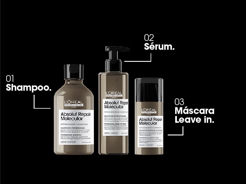absolut repair molecular